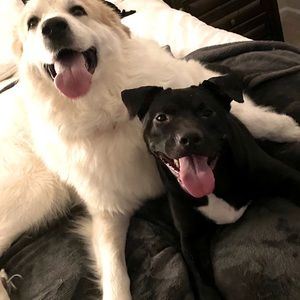 THANK YOU TO ALL WHO HAVE SPENT TIME IN MY CLOSET!! MY FUR BABIES THANK YOU TOO!